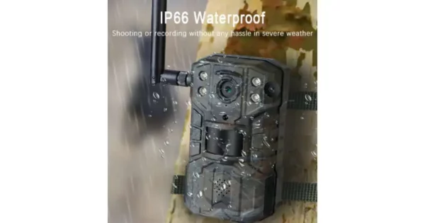 Professzionális vadkamera 4G livestream applikációval - Image 3